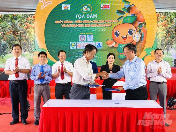 z4022337421306_0ab07b9318812222cf999acc9dc19b1c-121911_9.jpg Ông Nguyễn Văn Đầy, chủ vườn quýt hồng Lan Anh ký kết hợp tác với Công ty Du lịch Biển xanh (TP.HCM) để đưa du khách đến tham quan vườn quýt. Ảnh: Lê Hoàng Vũ.
