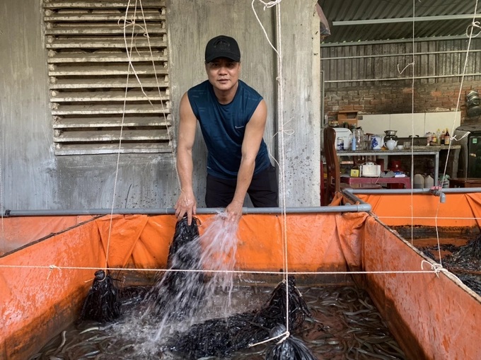 anh Đạo vể sinh bể nuôi lươn