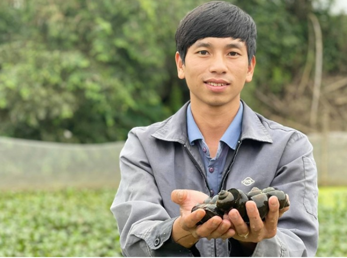 10323796anh_hao_voi_san_pham_oc_buou_den_nuoi_duoc-103237.png Anh Hảo cho biết nuôi ốc bươu đen không khó, nhưng cũng cần có kinh nghiệm và có kỹ thuật. Ảnh: Hoàng Thanh.