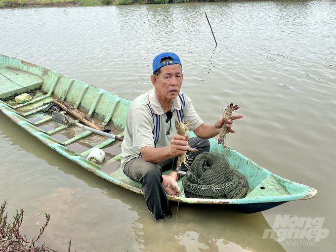 Nông dân Trần Văn Bảy bên ao tôm vừa thu hoạch. Ảnh: Trọng Linh.