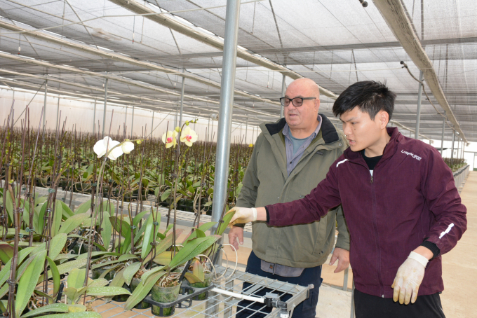 Ông David Eshel (trái) chuyên gia Israel chuyển giao công nghệ trồng lan cho kỹ sư Việt Nam. Ảnh: Thái Sinh.