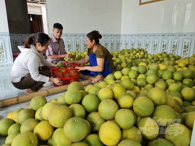 watermark_z3788610238903_b8980335620ba390802cd36595d137c0-1627_20221010_631.jpg Bưởi
