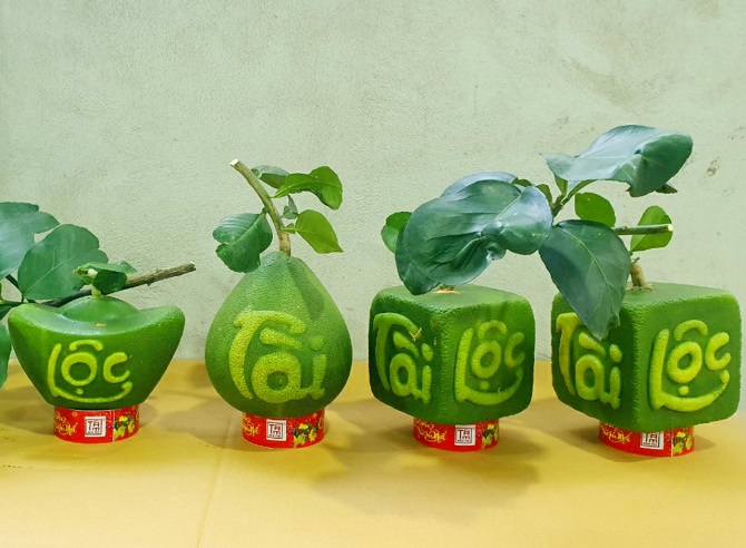 Ảnh 1: Bưởi tạo hình của nhà vườn miền Tây. Ảnh 1: Bưởi tạo hình của nhà vườn miền Tây.