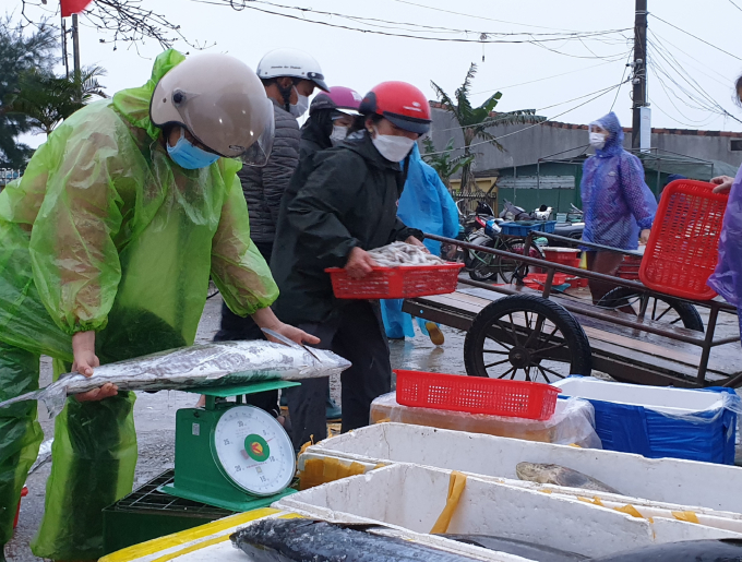 20220219_064255-1123_20220309_382.jpg Thiếu hạ tầng bảo quản, chế biến sau khai thác nên giá trị kinh tế thu được của ngư dân Hà Tĩnh bị hạn chế đi đáng kể. Ảnh: Thanh Nga.