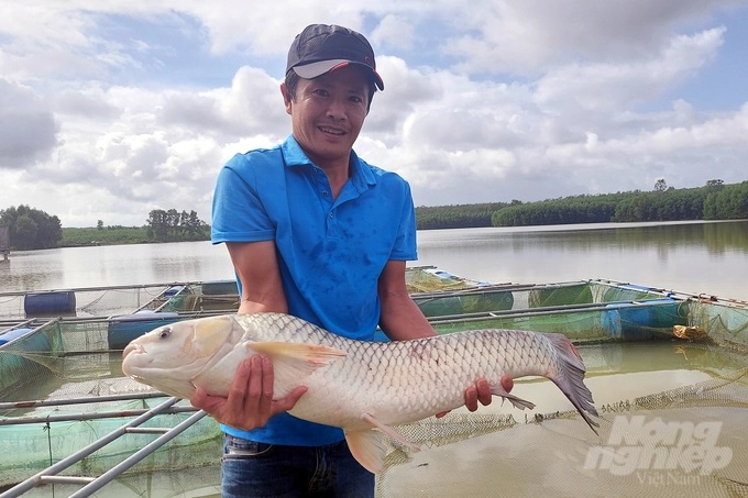 20221027_140717-150848_716.jpg Kỹ thuật vỗ giòn các loài cá nước ngọt không dễ. Ngoài kỹ thuật, người nuôi phải rất kỹ tính để giữ được sản phẩm của mình đạt tiêu chuẩn. Ảnh: Võ Dũng.