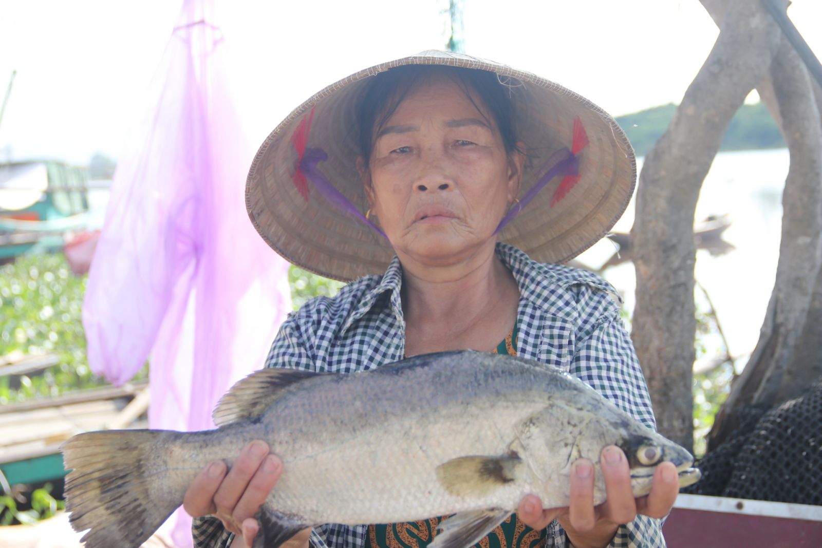 Bà Nguyễn Thị Lộc, thôn Sông Hải đang cố bán như cho những con cá bị chết trong đêm mong vớt lại chút vốn liếng. Ảnh: Hưng Phúc.