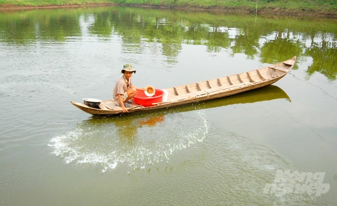 Xử lý môi trường ao trước khi thả giống cá tra xuống nuôi. Ảnh: Lê Hoàng Vũ.