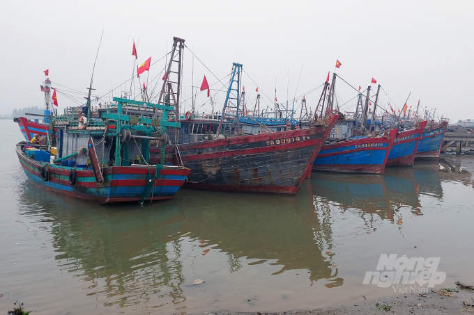 2-225008_526.jpg 1.200 tàu cá của ngư dân Thanh Hóa phải nằm bờ do giá dầu tăng cao và thiếu lao động. Ảnh: VD.