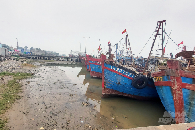 watermark_14-2128_20220317_779.jpg Cảng cá Lạch Hới bị bồi lắng khiến tàu thuyền ra vào rất khó khăn. Ảnh: Võ Dũng.