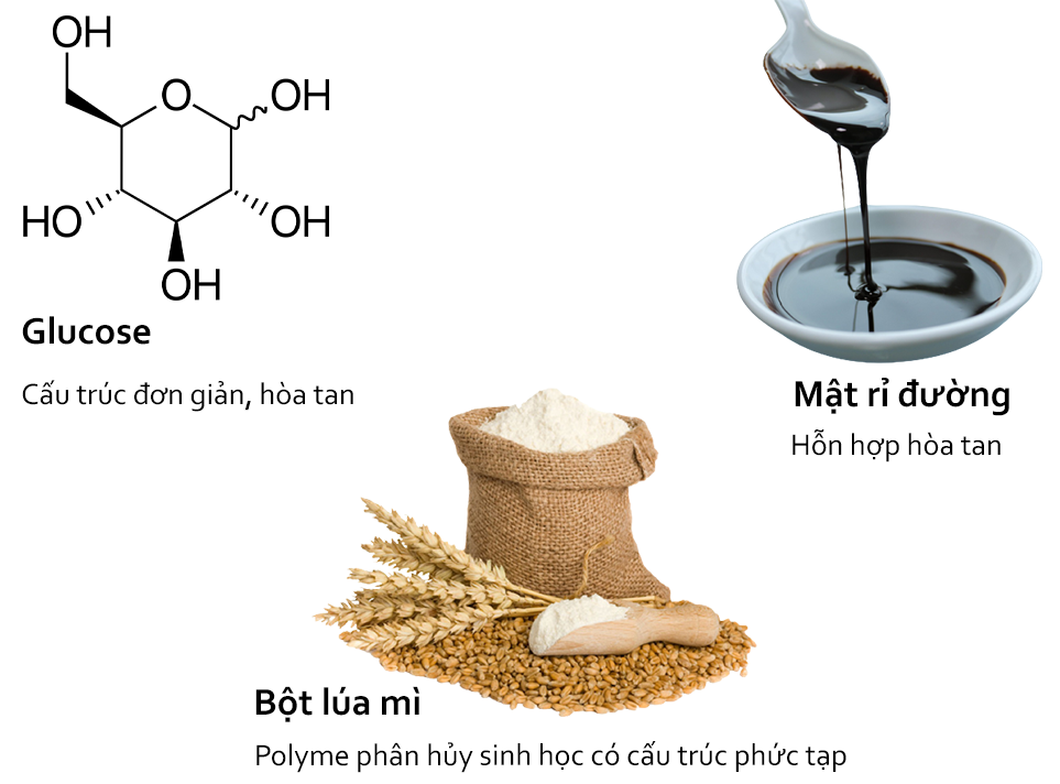 carbonhydrate biofloc carbonhydrate biofloc