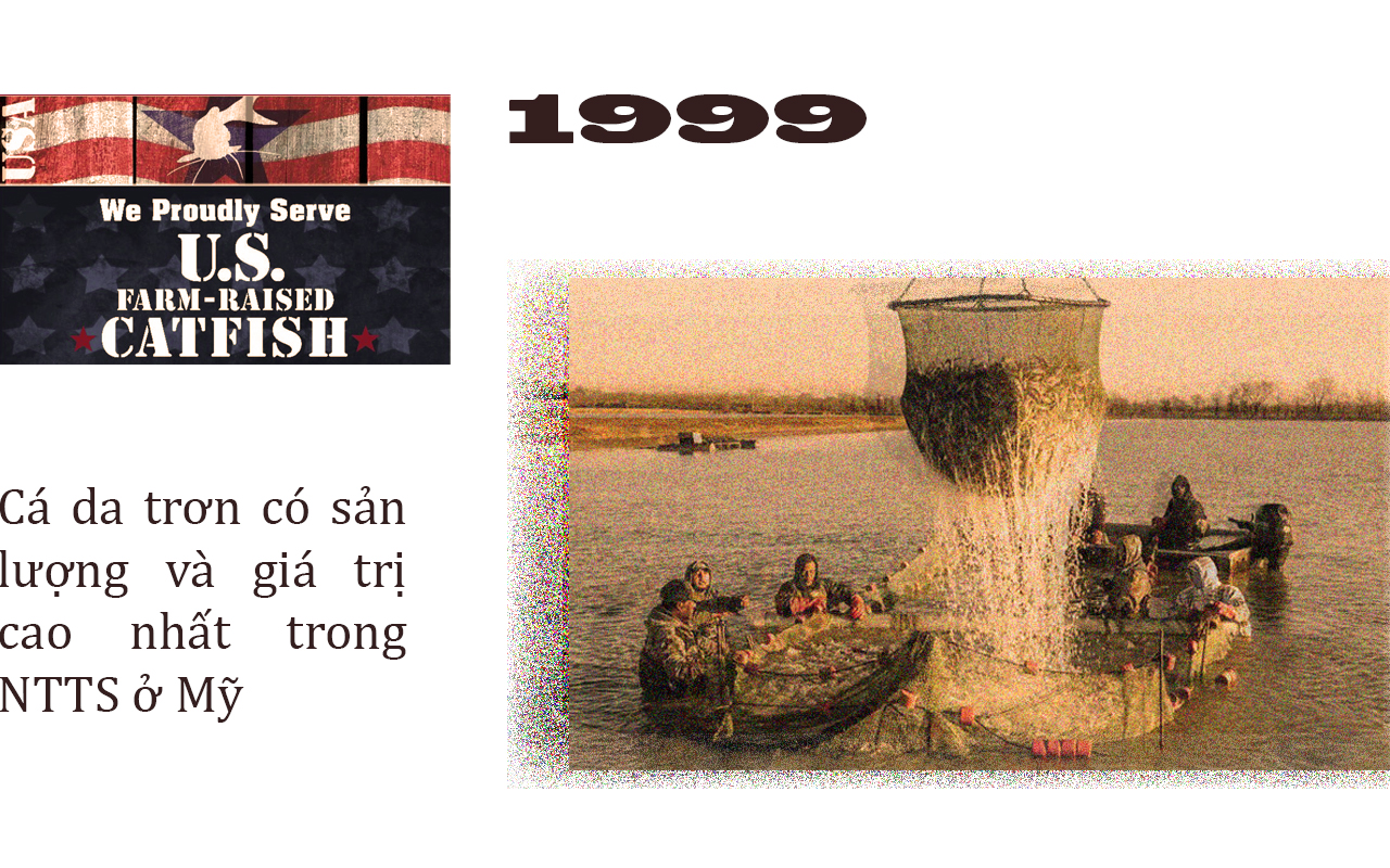 Ảnh nghề nuôi cá da trơn Nghề nuôi cá da trơn ở Mỹ