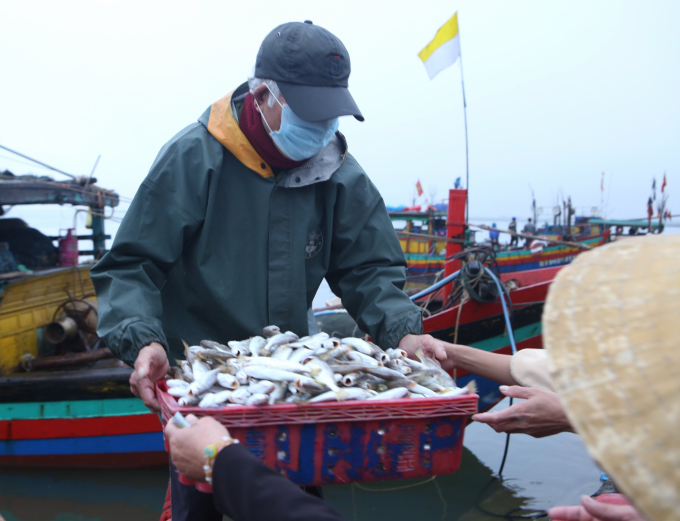 z3195731778547_74825a5754eb65e646c1bf27aa0f956b-1121_20220309_680.jpg Cầu cảng chưa được xây dựng, ngư dân Hà Tĩnh phải chuyển cá thủ công, tiềm ẩn nguy hiểm cho người lao động. Ảnh: Thanh Nga.