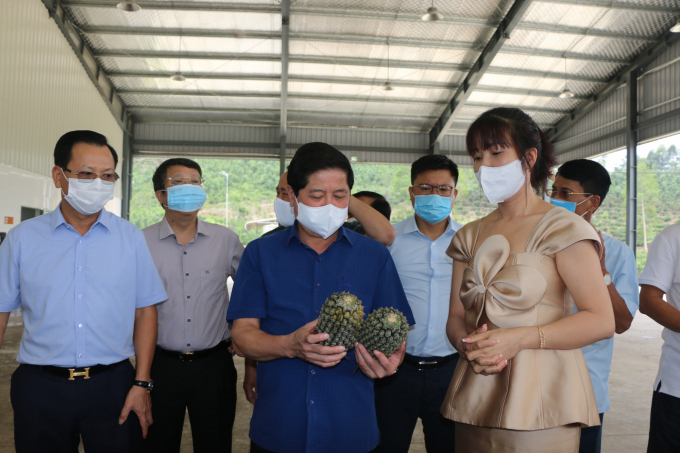 Thứ trưởng Bộ NN-PTNT Lê Quốc Doanh thăm nhà máy chế biến dứa đầu tiên tại xã Lùng Vai (huyện Mường Khương, Lào Cai). Ảnh: H.Đ.