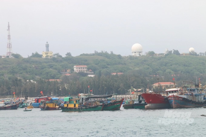 chong-khai-thac-iuu-o-hai-phong-con-doi-pho-215255_748.jpg Các tổ chức, cá nhân có tàu cá từ 24m trở lên khi đi hoạt động trên biển phải đảm bảo văn bằng, chứng chỉ theo quy định. Ảnh: Đinh Mười.