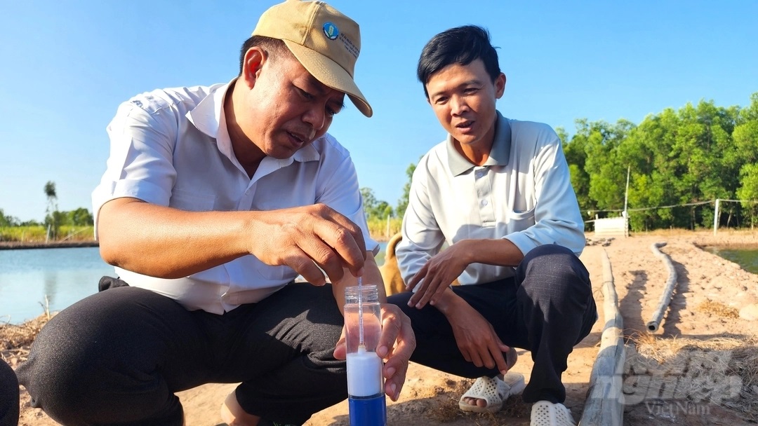 daty-nong-dan-soc-trang-e-de-xuong-giong-do-lo-ngai-dich-benh-tren-tom-nuoi-145431_682.jpg Chi cục Chăn nuôi và Thú y tỉnh Sóc Trăng kiểm tra nồng độ nước mặn trong tại ao nuôi tôm. Ảnh: Kim Anh.