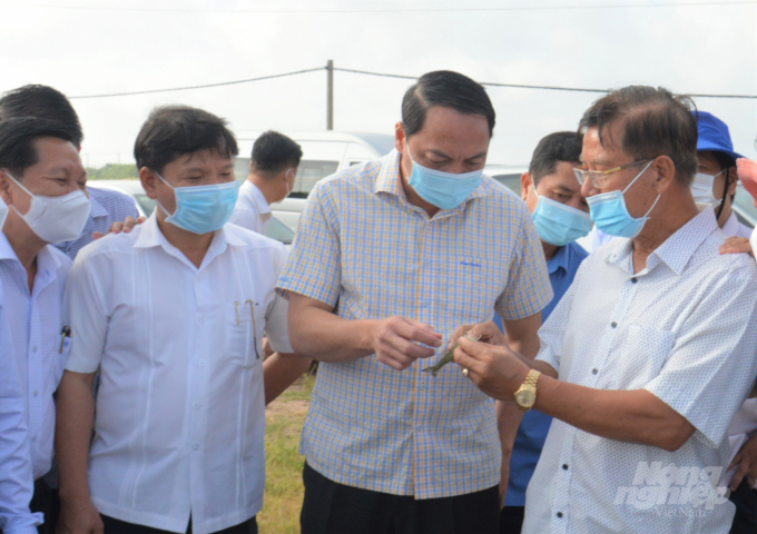 Chủ tịch UBND tỉnh Kiên Giang Lâm Minh Thành (thứ 2 từ phải qua) kiểm tra sản xuất, phát triển nuôi tôm nước lợ năm 2022 tại vùng Tứ giác Long Xuyên. Ảnh: Trung Chánh.