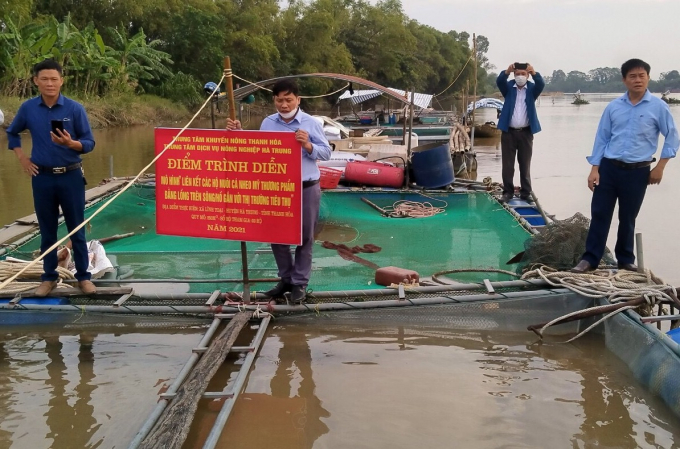 1119477diem_trinh_dien_mo_hinh_lien_ket_nuoi_ca_nheo_my_thuong_pham_tren_song_len_gan_voi_thi_truong_tieu_thu_xa_linh_toai_huyen_ha_trung_thanh_hoa-111947.jpg Thời gian qua, các hộ nuôi cá lồng trên sông Lèn đã nuôi thành công cá nheo Mỹ, cho thu nhập cao. Ảnh: Lê Như Cương.