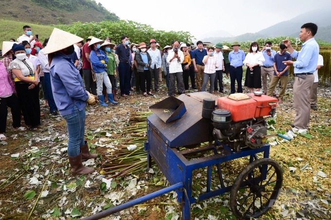 Bà con nông dân huyện Đà Bắc (Hòa Bình) lạc quan vào hiệu quả kinh tế của cây gai xanh so với cây sắn, cây mía trước đây. Ảnh: Minh Phúc.