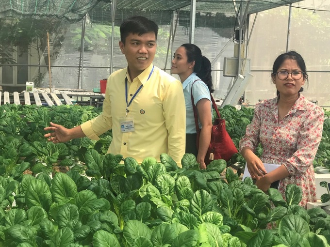 Anh Nguyễn Văn Trung, cán bộ Khoa Sinh học ứng dụng Đại học Quang Trung, thuyết minh giống cải hoa hồng rất giàu dinh dưỡng. Ảnh: V.Đ.T.