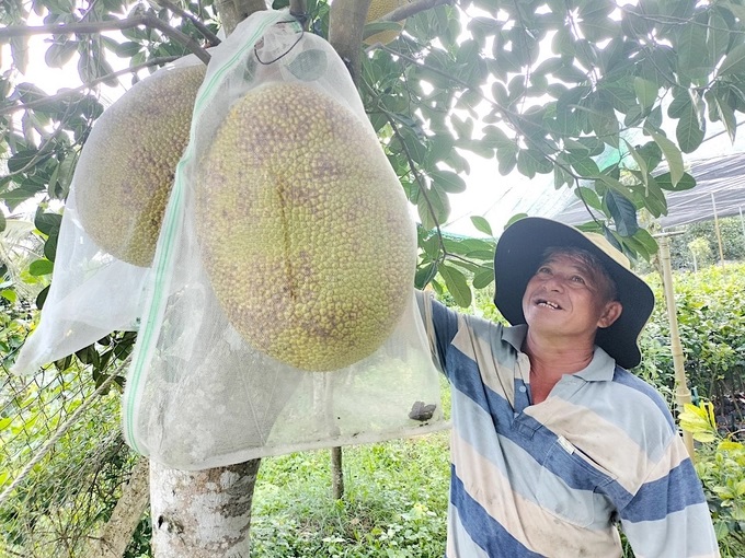 Ông Trần Thanh Thanh,  chủ cơ sở sản xuất, kinh doanh cây giống Thanh Thanh. Ảnh: Minh Đảm.