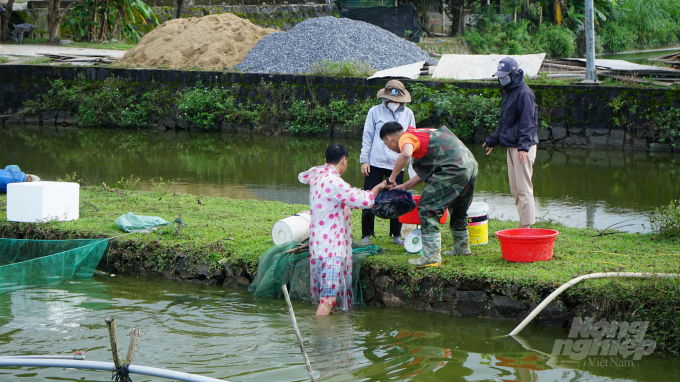 watermark_4358-1412_20220220_119.jpg Trung tâm Giống thủy sản tỉnh Quảng Trị sẵn sàng 300 vạn con cá giống cho vụ nuôi cá nước ngọt 2022. Ảnh: CĐ.
