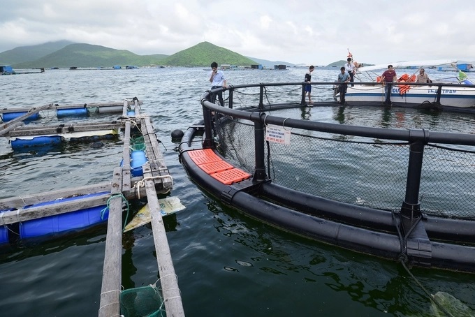 Nuôi biển công nghệ cao bằng lồng HDPE tại Vịnh Vân Phong, Khánh Hòa.