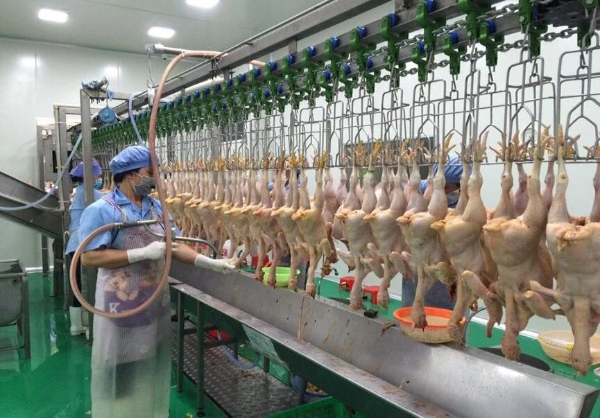 Một trong những doanh nghiệp hiếm hoi tại Hải Phòng đầu tư lớn cho công nghệ chế biến. Ảnh: Đinh Mười.