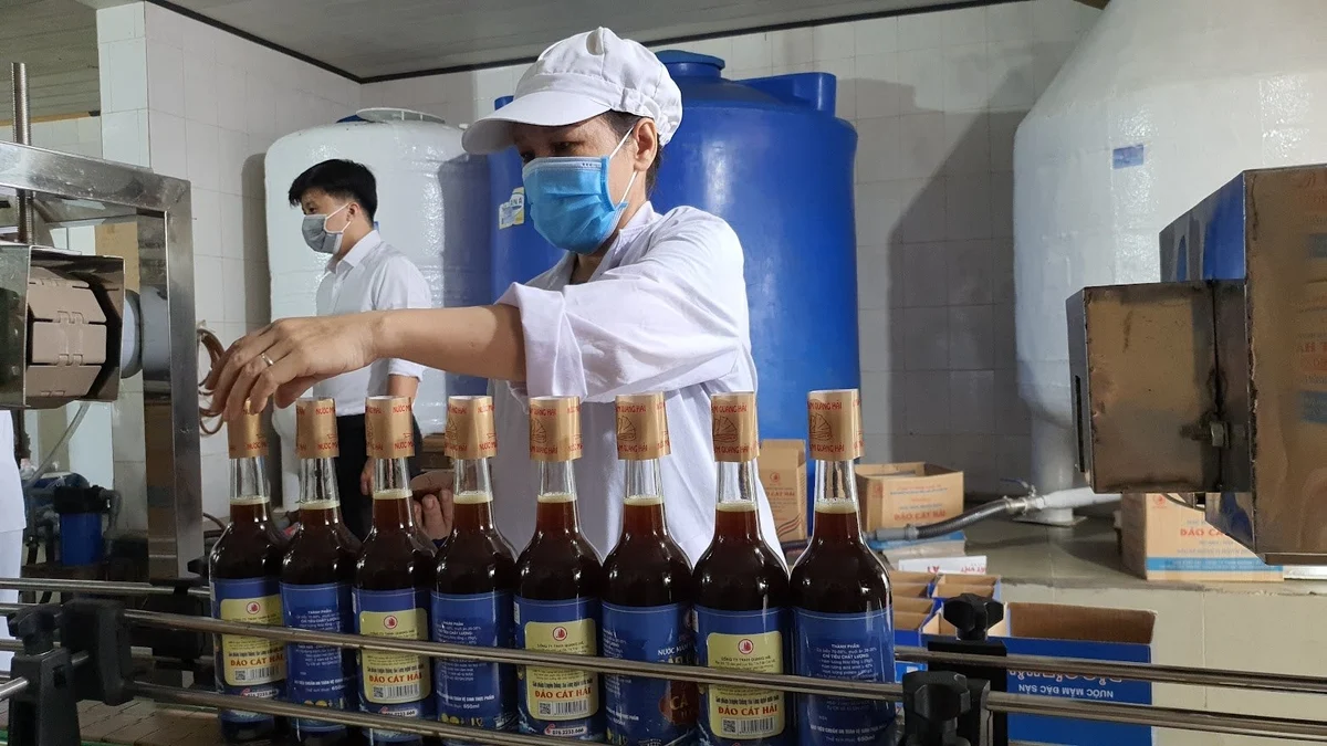 Một doanh nghiệp sản xuất nước mắm có tầm cỡ ở huyện Cát Hải, dù được đầu tư lớn nhưng sự cạnh tranh trên thị trường chưa cao. Ảnh: Đinh Mười.