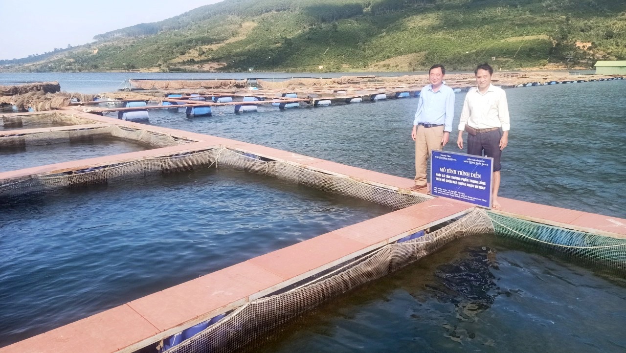 hieu-qua-kha-quan-tu-mo-hinh-nuoi-ca-tam-thuong-pham-trong-long-082847_495.jpg Mô hình trình diễn của dự án mới thực hiện được 1/2 thời gian so với kế hoạch, tuy nhiên kết quả khả quan. Ảnh: Lê Văn Diệu.