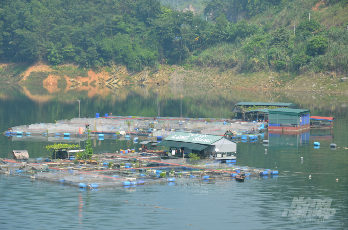 watermark_dsc_6114-1324_20220314_671.jpg Toàn huyện Na Hang hiện nay có khoảng 1.000 lồng cá. Ảnh: Đào Thanh.
