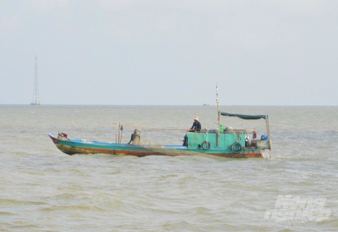 khai-thac-nhuyen-the-2-090117_1000.jpg IUCN tại Việt Nam sẽ hỗ trợ Kiên Giang trong quản lý, khai thác bền vững nghêu Lụa và khảo sát, đánh giá nhận thức của cộng đồng, các bên liên quan về bảo tồn, đa dạng sinh học, môi trường, sử dụng nguồn lợi thủy sản có trách nhiệm. Ảnh: Trung Chánh.