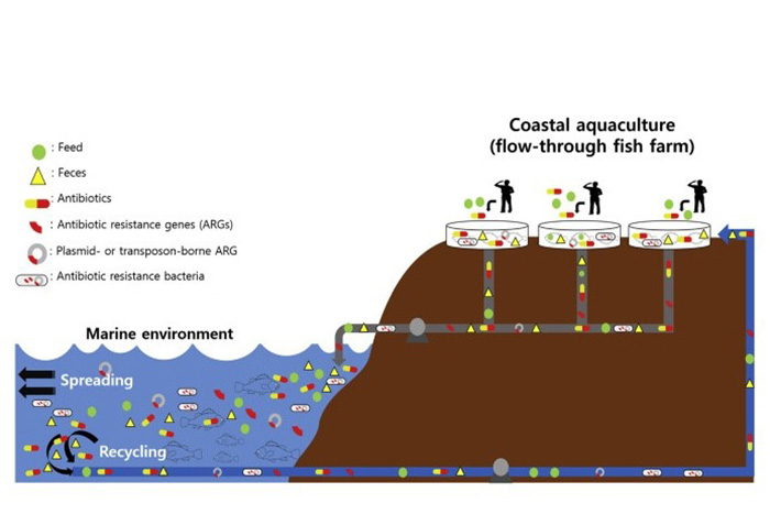 Mối quan hệ kháng kháng sinh và nuôi trồng thủy sản. Ảnh: Science Direct