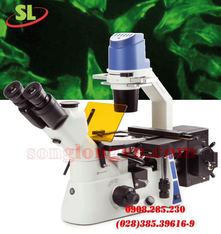 Kính hiển vi soi ngược dòng Oxion Inverso Euromex