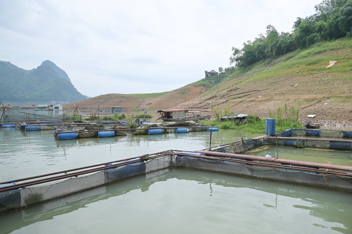 Mực nước hồ Hòa Bình thấp hơn cùng kỳ 2024 tới 30m. Ảnh: Tùng Đinh. Mực nước hồ Hòa Bình thấp hơn cùng kỳ 2024 tới 30m. Ảnh: Tùng Đinh.
