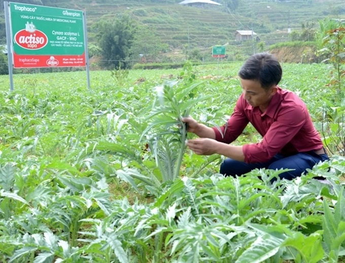 lao-cai-siet-chat-quan-ly-su-dung-thuoc-bao-ve-thuc-vat-1803_20220908_597.jpeg duoc-1-1724_20200304_626-173245