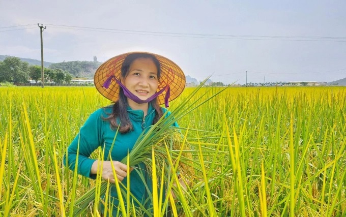 Bà Nguyễn Thị Ban, Phó Phòng NN-PTNT huyện Hà Trung giới thiệu sản phẩm lúa ST24 trồng trên diện tích 35 ha ruộng lúa - cá luân phiên tại xã Hà Lĩnh. Ảnh: Lê Cương.
