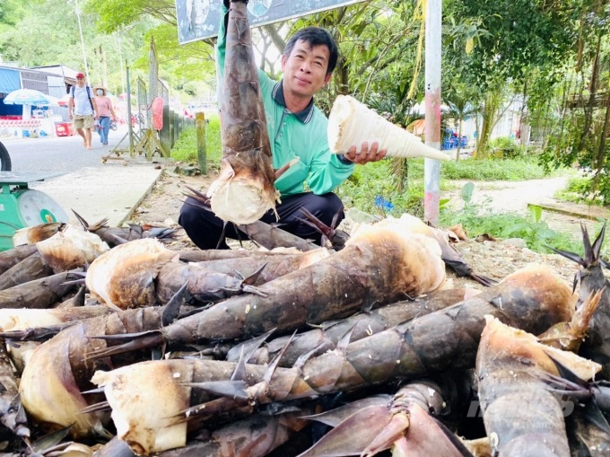 Anh Võ Văn Nhị, ở ấp Vồ Đầu, xã An Hảo, huyện Tịnh Biên phấn khởi vì măng trúng mùa và bán giá cao. Ảnh: Lê Hoàng Vũ.