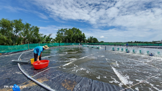 Mô hình Demo Farm của anh Yêm.