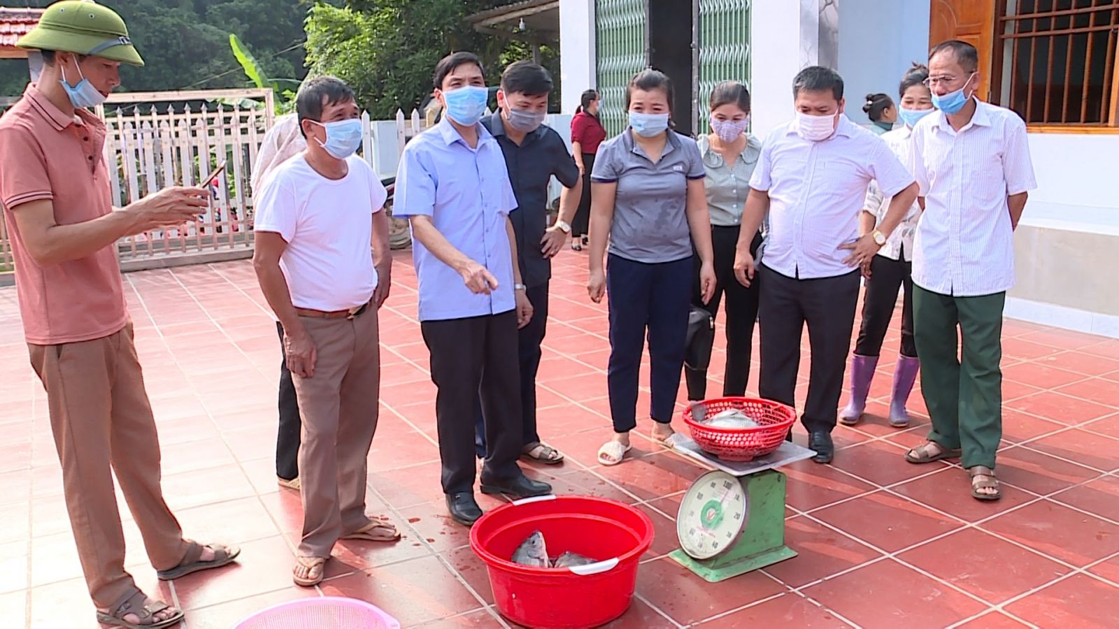 Tuyên Quang: Nuôi cá rô phi toàn đực, bắt lên bán toàn con to, lãi gấp 3 lần so với nuôi cá truyền thống - Ảnh 4.