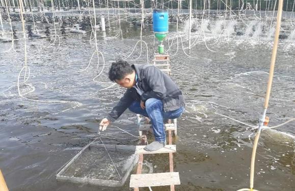 Mô hình nuôi tôm ba giai đoạn tuần hoàn khép kín ít thay nước. Ảnh: Trọng Linh.