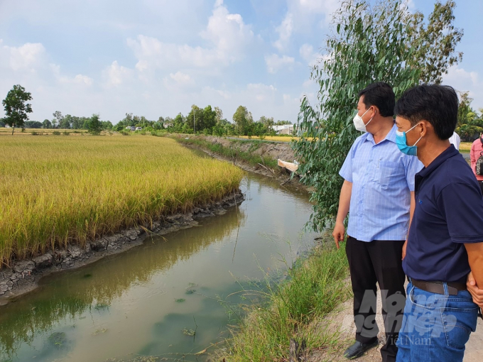 watermark_z3238664866352_1afc9ee3d7b24457cc93f0ea089089e0-1540_20220307_339.jpg Vụ lúa (mô hình tôm lúa) vừa qua nông dân TX Giá Rai thu hoạch lúa cho năng suất trung bình đạt trên 6,5 tấn/ha, với gián bán 8.000 đồng/kg lúa ST25. Ảnh: Trọng Linh.