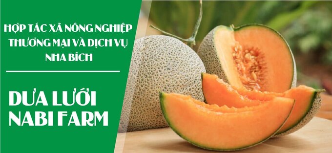 Đăng ký truy xuất nguồn gốc của dưa lưới Nabi Farm