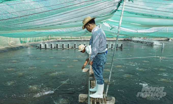 watermark_nganh-tom-doi-moi-tang-truong-huong-toi-phat-trien-ben-vung-1634_20220313_41.jpg Doanh nghiệp đầu tư nuôi tôm ứng dụng công nghệ cao ở Sóc Trăng. Ảnh: Hữu Đức.