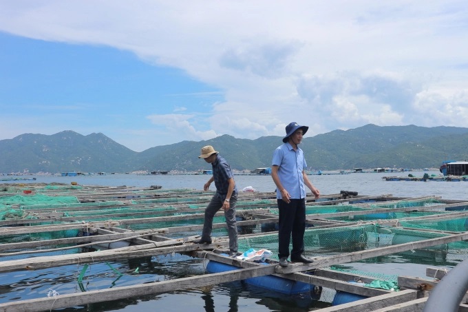 nhieu-van-de-giai-quyet-de-nuoi-bien-ben-vung-thich-ung-bien-doi-khi-hau-1016_20220806_788.jpg Nuôi biển của ngư dân hiện nay chủ yếu lồng bè bằng gỗ, nhiều rủi ro trước thiên tai. Ảnh: KN.