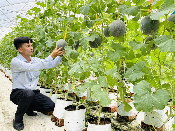 Cần thêm nhiều hình thức liên kết đào tạo nguồn nhân lực cho ngành NN-PTNT. Ảnh: Lê Hoàng Vũ.