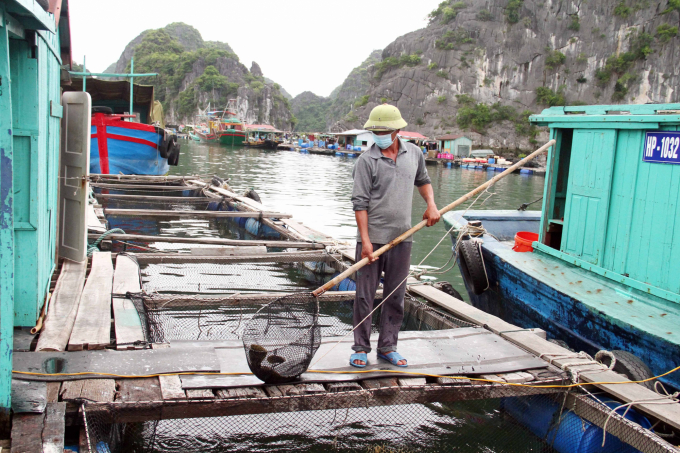 nuoi-ca-long-be-7-1329_20210913_161.jpg Quảng Ninh có tiềm năng rất lớn để phát triển nuôi biển. Ảnh: Lê Bền.
