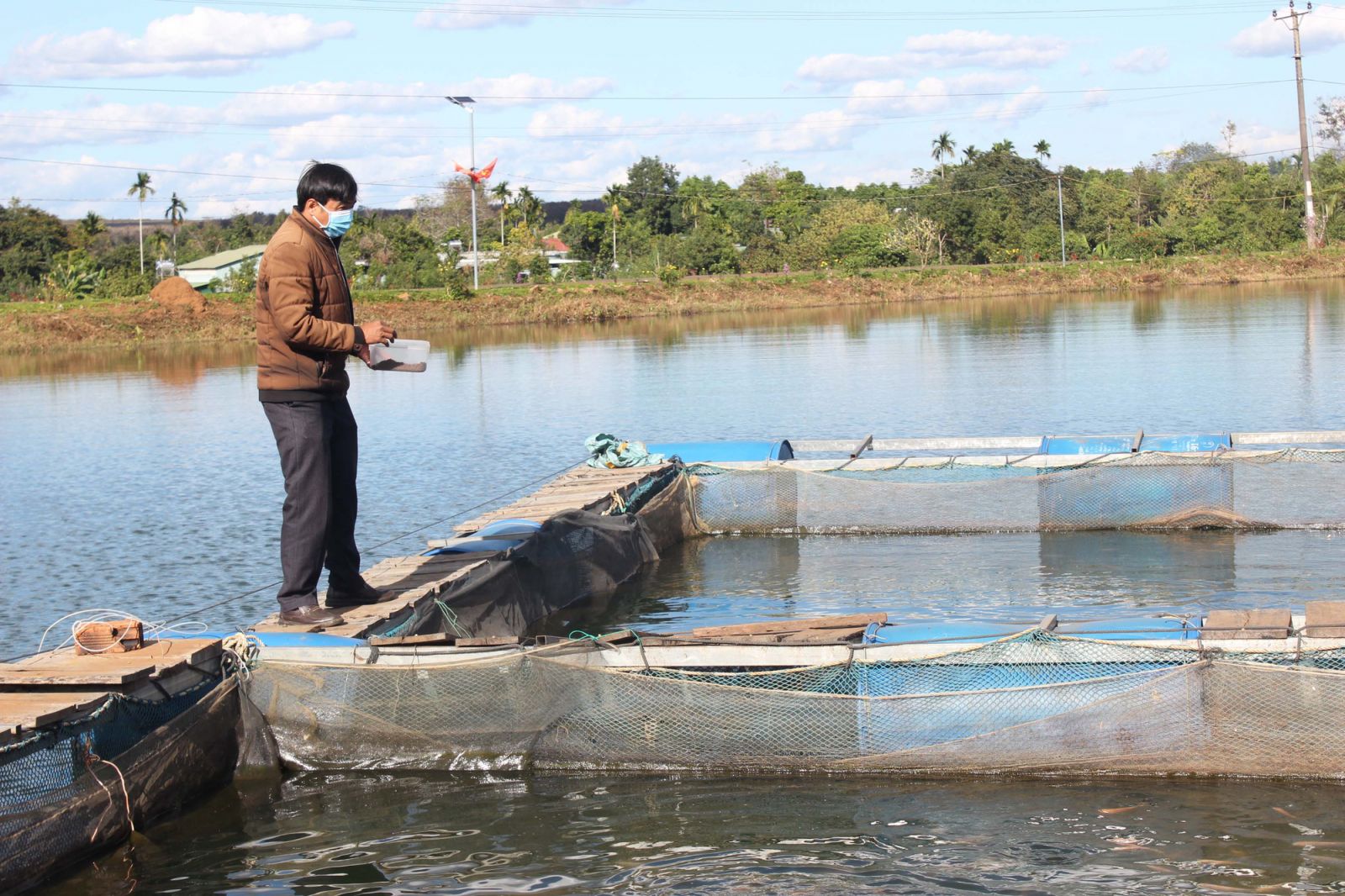 Nuôi cá đặc sản trên hồ thủy điện Ia Ly, mỗi năm nông dân này của Gia Lai bắt bán 10 tấn - Ảnh 1. Nuôi cá đặc sản trên hồ thủy điện Ia Ly, mỗi năm nông dân này của Gia Lai bắt bán 10 tấn - Ảnh 1.