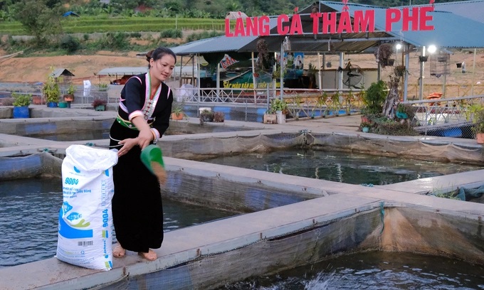 nuoi-ca-ro-phi-thu-loi-tram-trieu-dong-moi-long-1842_20221113_398.jpg BATH5891