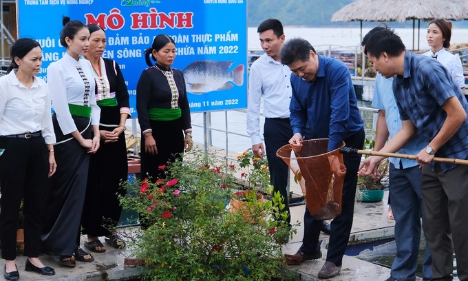 nuoi-ca-ro-phi-thu-loi-tram-trieu-dong-moi-long-1841_20221113_993.jpg BATH5845