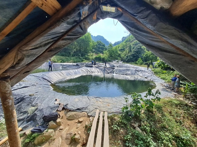 z3856630851003_f3c9f93dc8e9e3fe8b534037cc2eefa1-1720_20221108_899.jpg Nuôi cá tầm